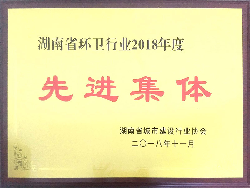 湖(hú)南省環衛行業2018年度先進集體(tǐ)