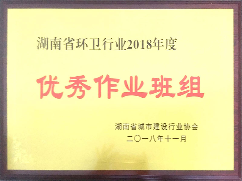 湖(hú)南省環衛行業2018年度優秀作(zuò)業班組（桃江項目部）